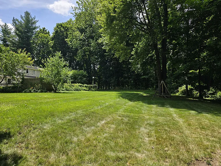 Backyard View 3