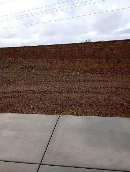 Backyard 3
