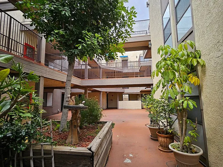 453 Ivy St — Photo 36