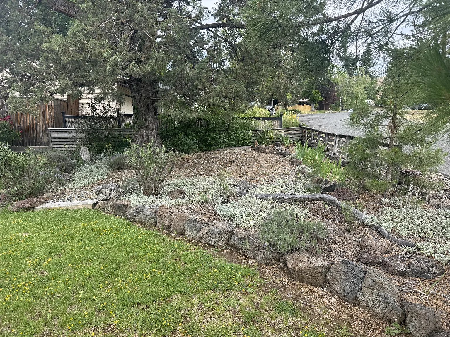 3 bed, 2.0 bath, 1050 sqft, $1,800 — Photo 2