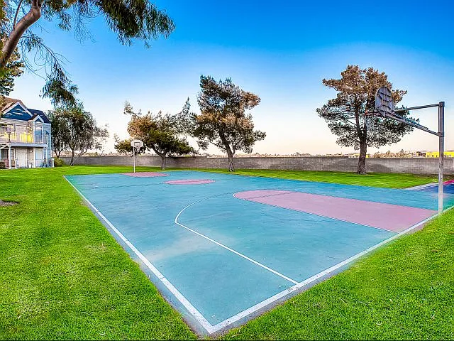 Full Size Basketball Court