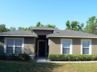 1017 Tawny Eagle Dr, Groveland, FL 34736