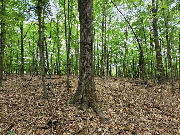 4th image of 0 East Hill Road