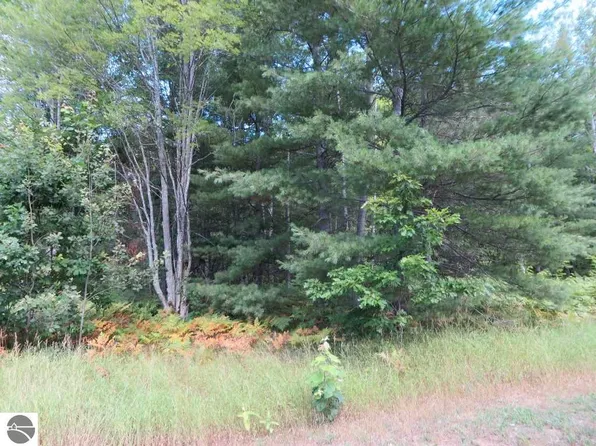 2215 Driftwood Ln NE, Kalkaska, MI 49646