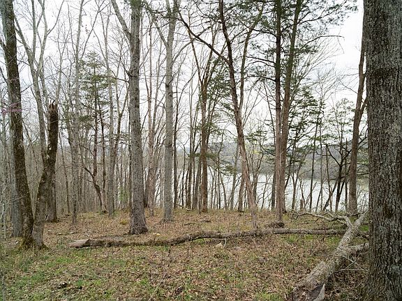 3rd image of 0 Horseshoe Bend Ln