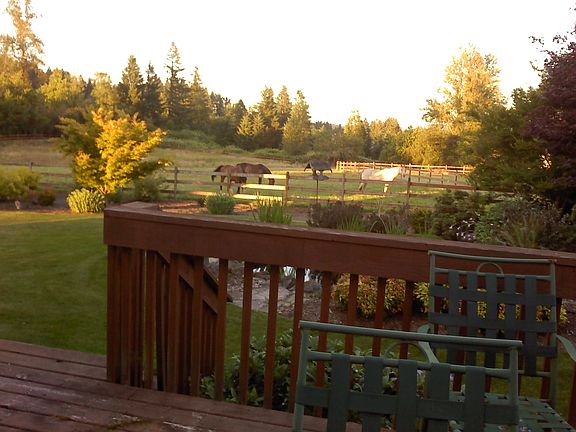 Back Deck View