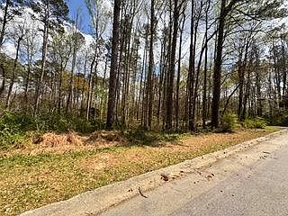4th image of 4120 Falcon Dr SW #132