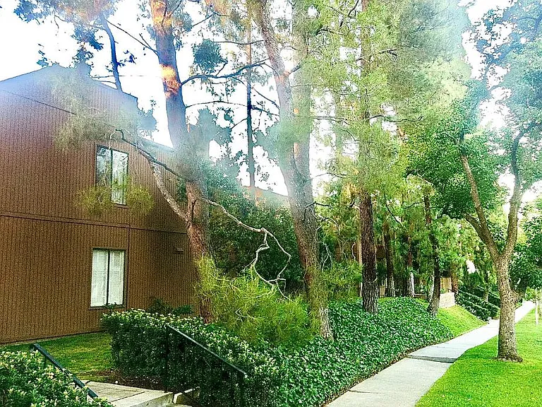 91 Arlington Dr #13 — Photo 3