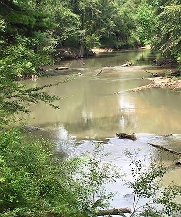 4th image of 35490 Hwy 441