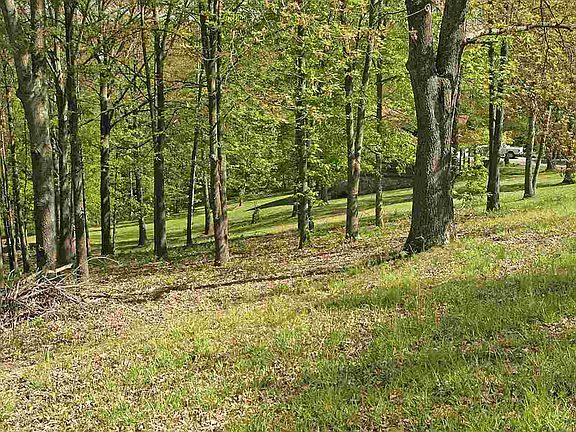 3rd image of LOT 24 Willmore Dr