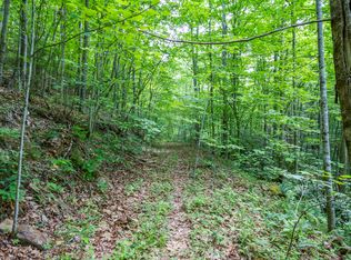 Tbd Back Hollow Rd, Saltville, VA 24370