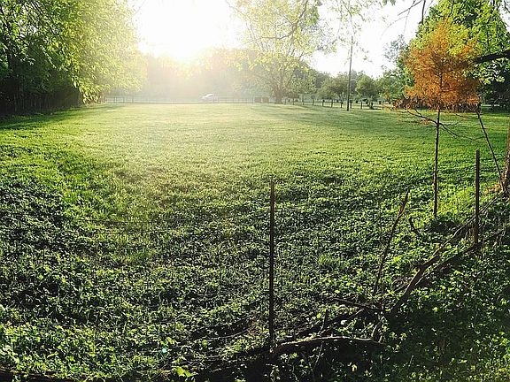 FrontSideField to WilsonPike