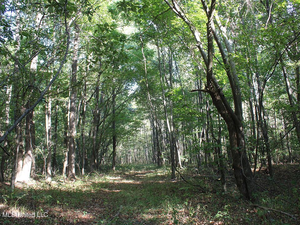 1st image of 10 Star Landing Rd