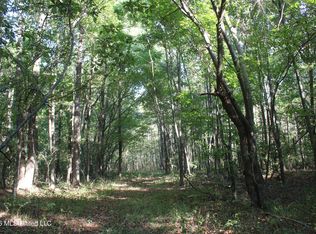 13 Star Landing Rd, Nesbit, MS 38651
