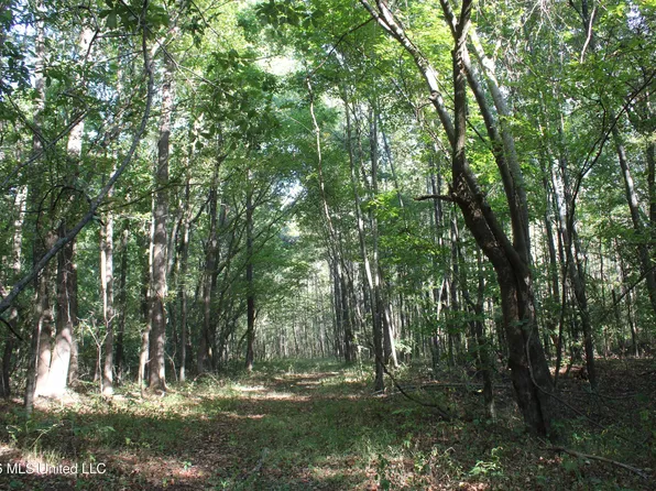 14 Star Landing Rd, Nesbit, MS 38651