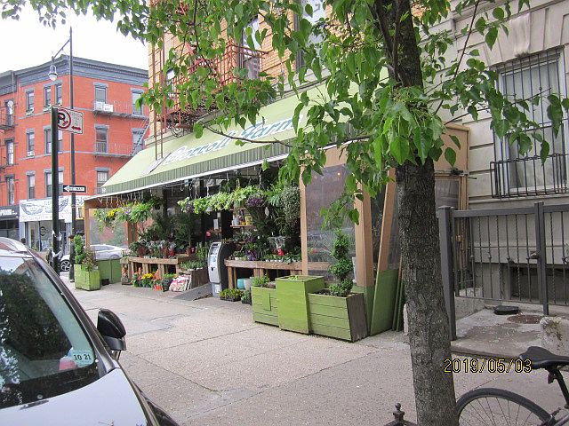 1st image of 593 Franklin Ave #4B
