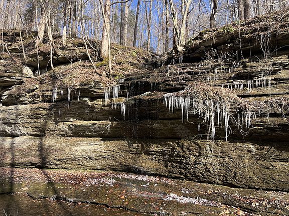 21st image of this home