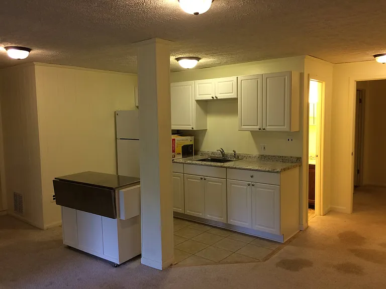 Basement kitchenette