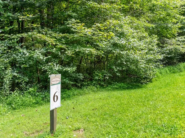 6 Olde Mill Ct, Fancy Gap, VA 24328