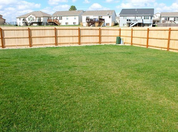 Backyard with new fence