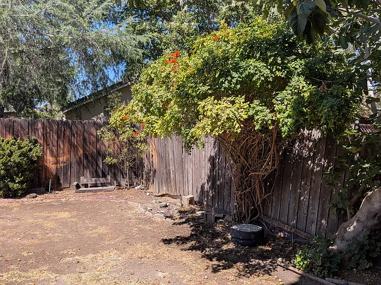 Backyard (right side)