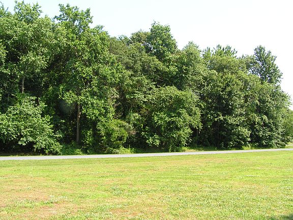 Nice .57 acre wooded lot