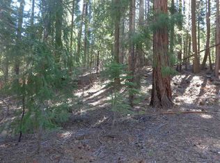 411 East Dr, Canyon Dam, CA 95923