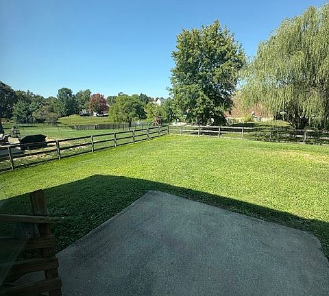 View of backyard from kitchen