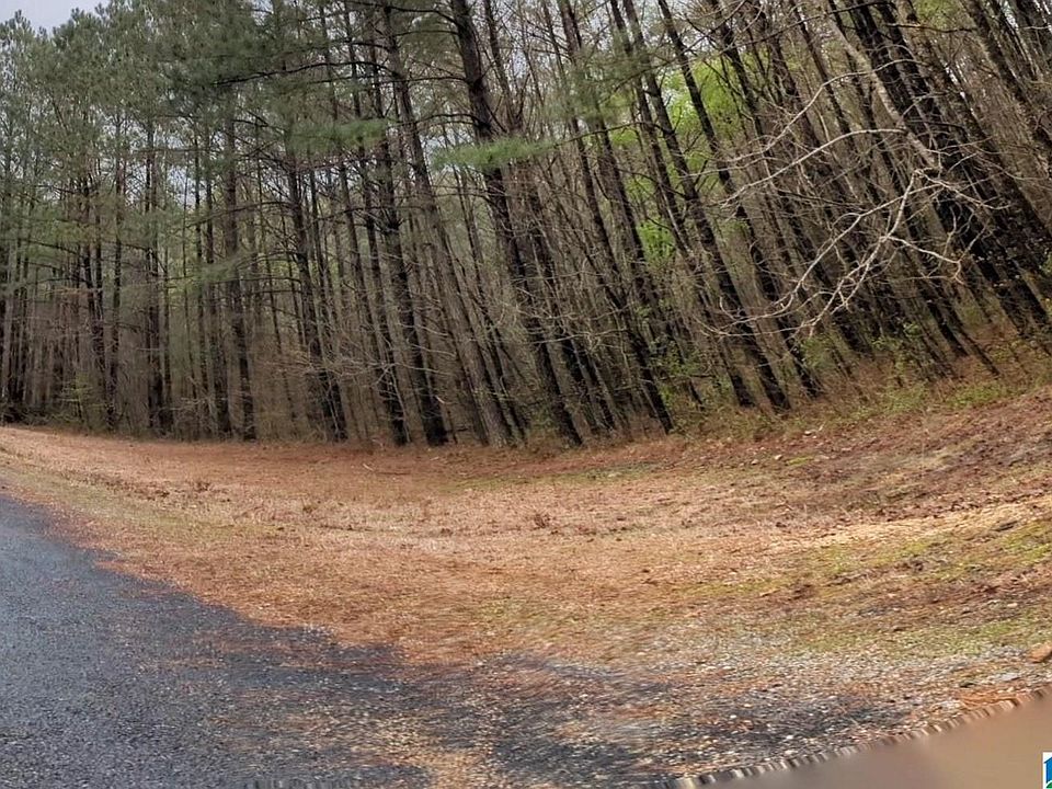 2nd image of 5 Treetop Ln