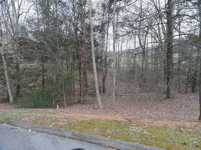 2nd image of 13 Roundtop Dr Lot 13R