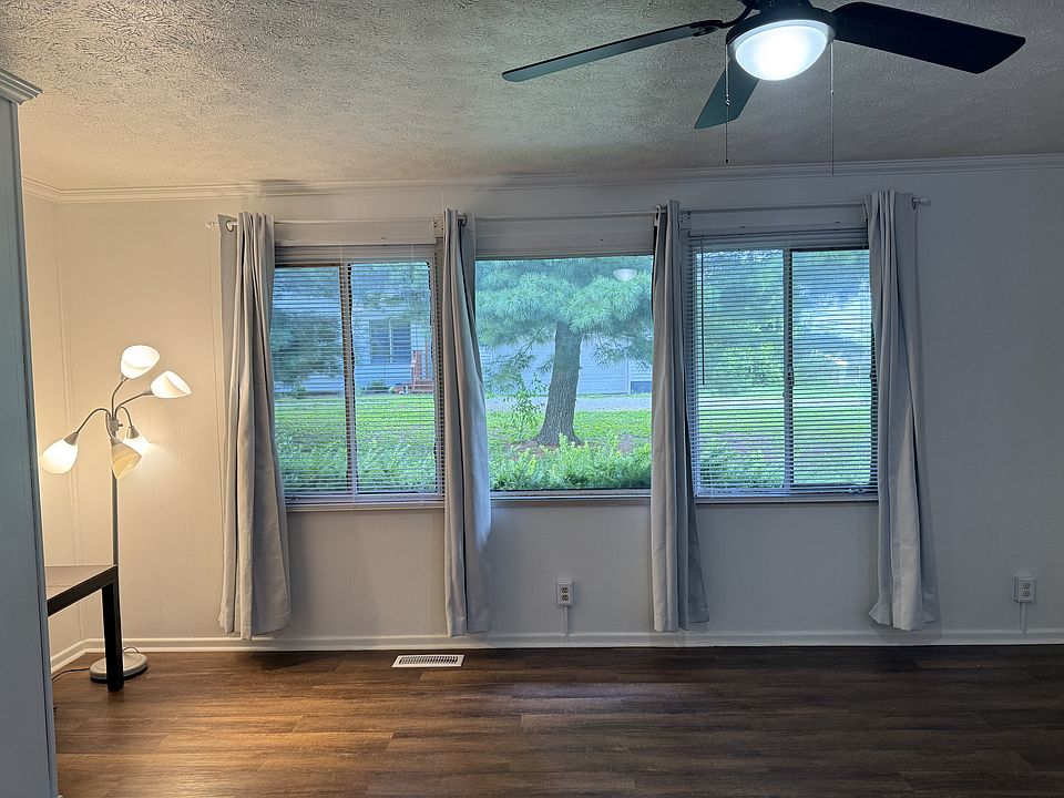 Living room windows