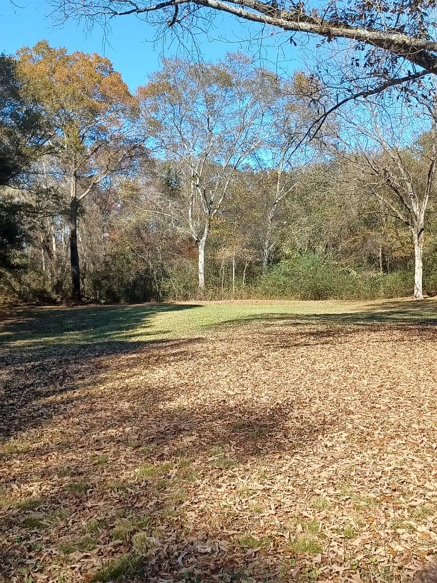 McVille Rd, Albertville — Photo 2