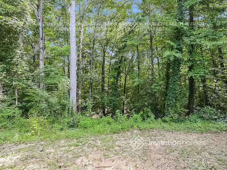 1661 Hampton Walk Dr — Photo 16