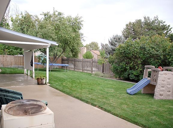 Back yard