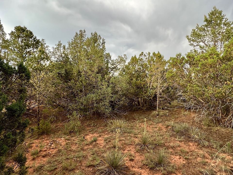 2nd image of 369 Old Denver Hwy