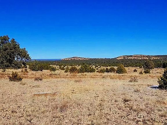 3rd image of 36 W Mustang Rd