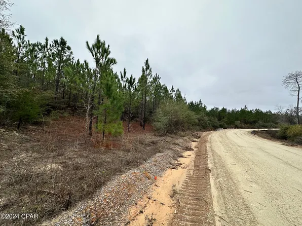 TRACT 6418 Mattox Spring Rd, Caryville, FL 32427