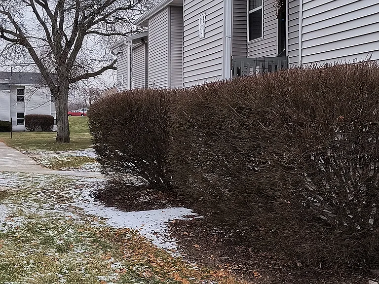 320 W Linden St #2 — Photo 18