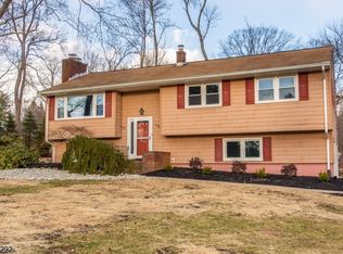 5 Ferrous Ct, Chester, NJ 07930