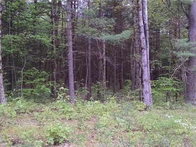 LOT 2 Erie Canal Rd, Glenfield, NY, 13343