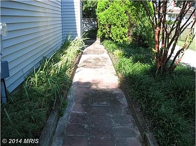 Walkway Among Plantings