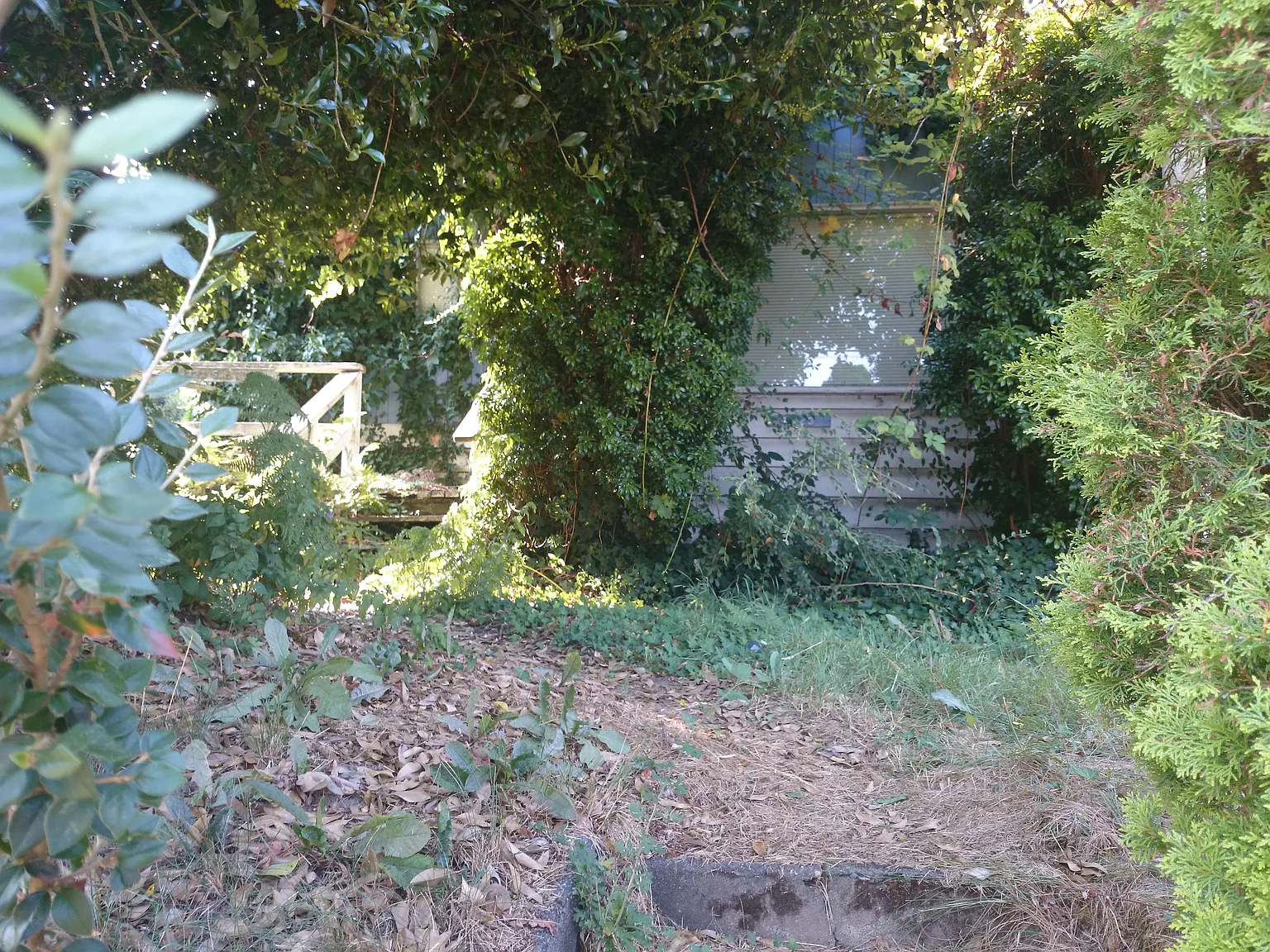 4323 S Holly St photo 1