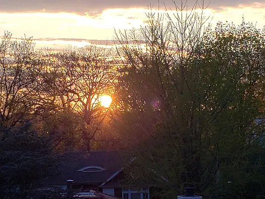 Sold by Douglas Elliman | media 36