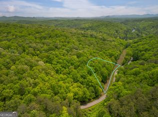 Galloway Rd, Blue Ridge, GA 30513