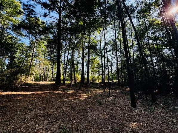 Wilson Magee Rd, Bogalusa, LA 70427