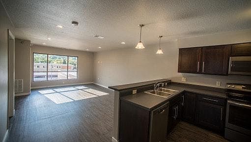 Kitchen/Living Area