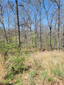 Ayton Ln #30, Bella Vista, AR, 72714