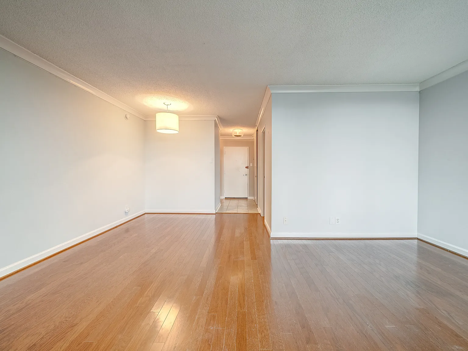 Studio, 484 sqft, $1,675 — Photo 3