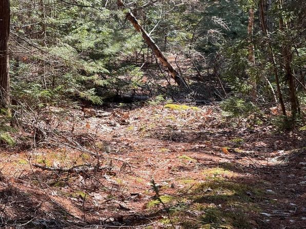 Lot 48A Route 1, Gouldsboro, ME 04607
