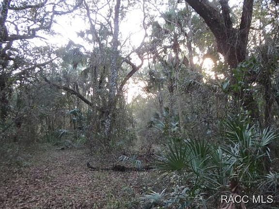 3rd image of 7424 N Palm Oak Dr